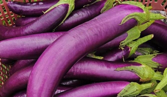 一物|爱吃茄子的人,身体不会差,但切忌与一物同食,现在知道还不晚