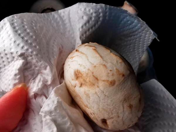 拳头大的口蘑，就应该这么吃，汤汁都是精华美味