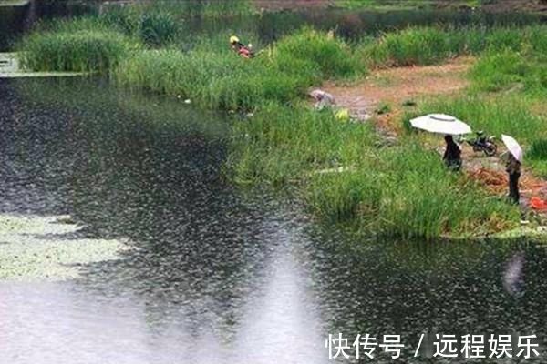 活水|三伏天钓鱼不想扑空常用这些老套路,熟练掌握,一钓一个准