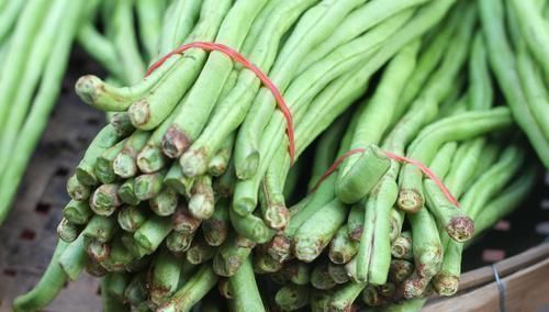 冬天|街上豆角1元1斤,我一口气买了30斤,学会这招,能保存到冬天