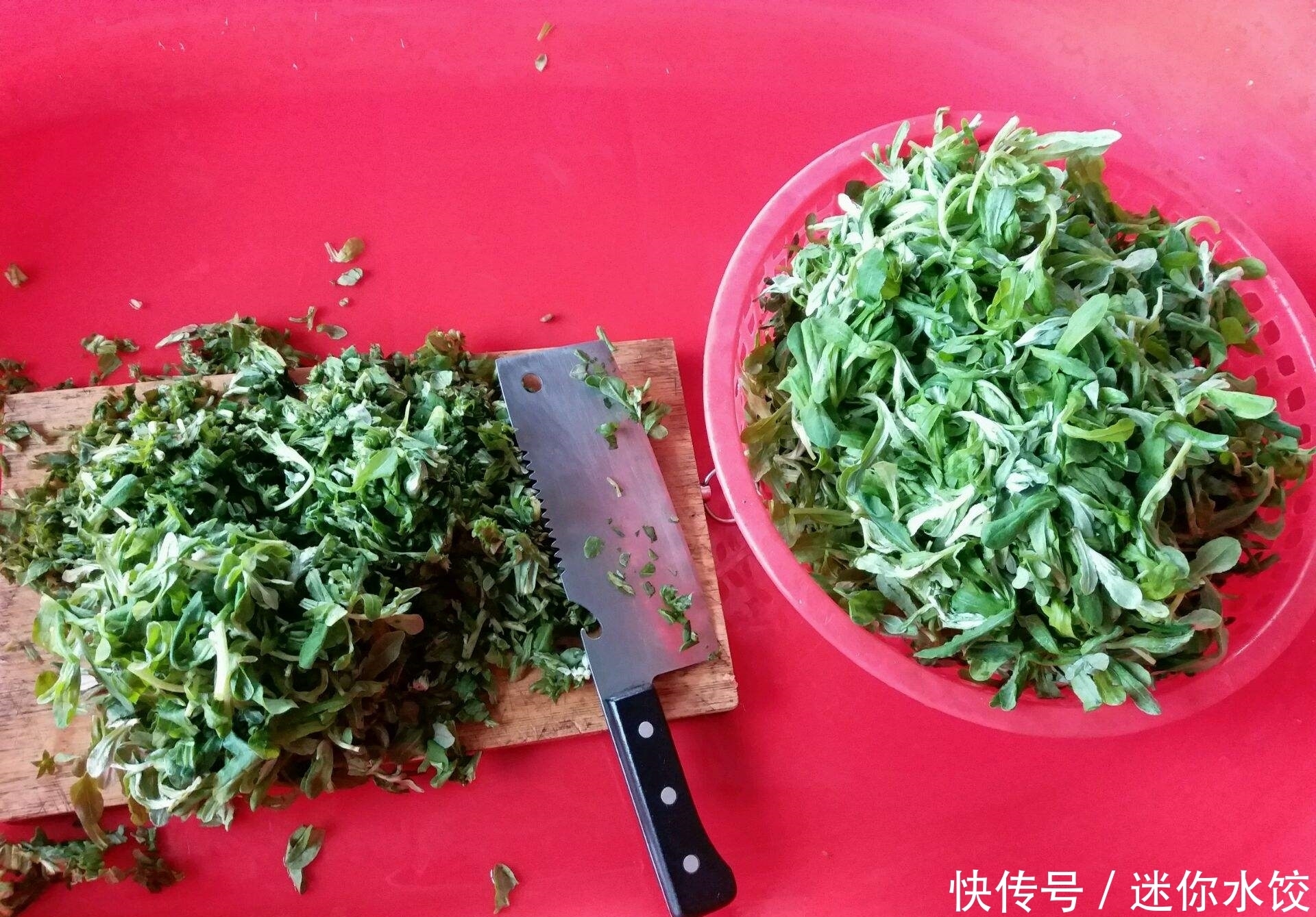 野草|农村田间经常见到的这种野草,一年开两次花,却有去脂降压的功效