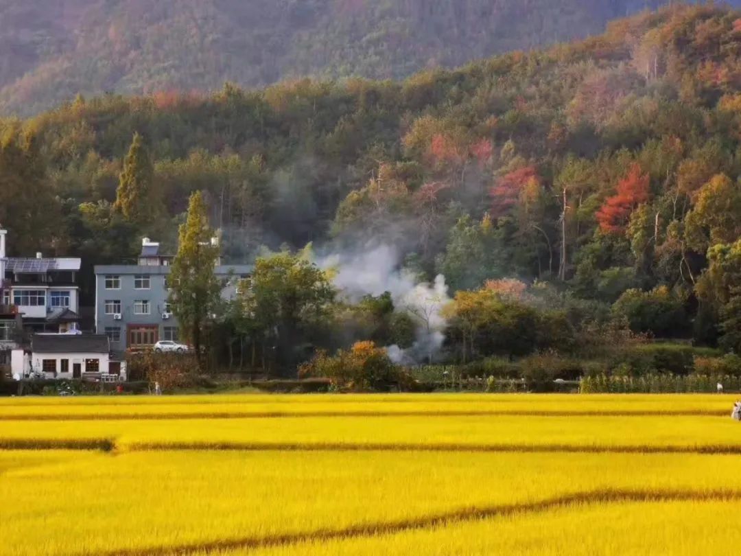 寺院|天台山国清寺恢复开放! 这里低调地美了1400多年, 佛到骨子里!