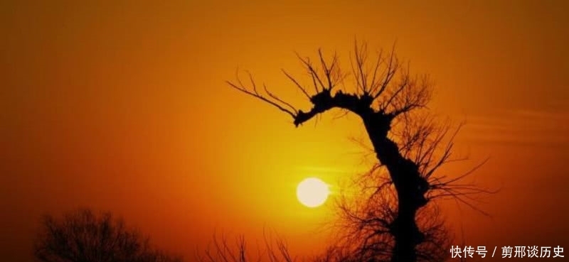 苏轼写给朋友最深情的一首诗,化用前人名句,更是激励了无数读者