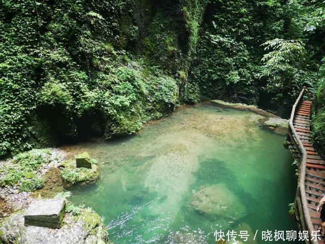 茶山竹海归园田居，当代人最大梦想，这个村子能帮你轻易实现！