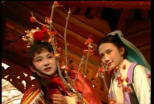 邢岫烟|一个被王夫人藏在贾府的女子,毁了贾元春在宫中多年的努力