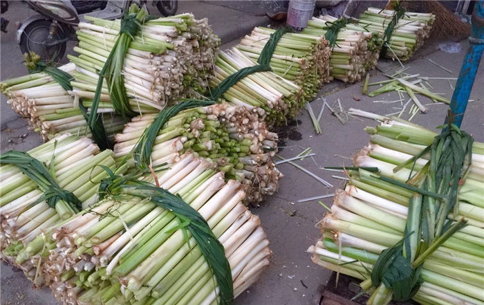 强身健体|天热就猛长,如今有人大量种植,一斤10元,5月正鲜嫩