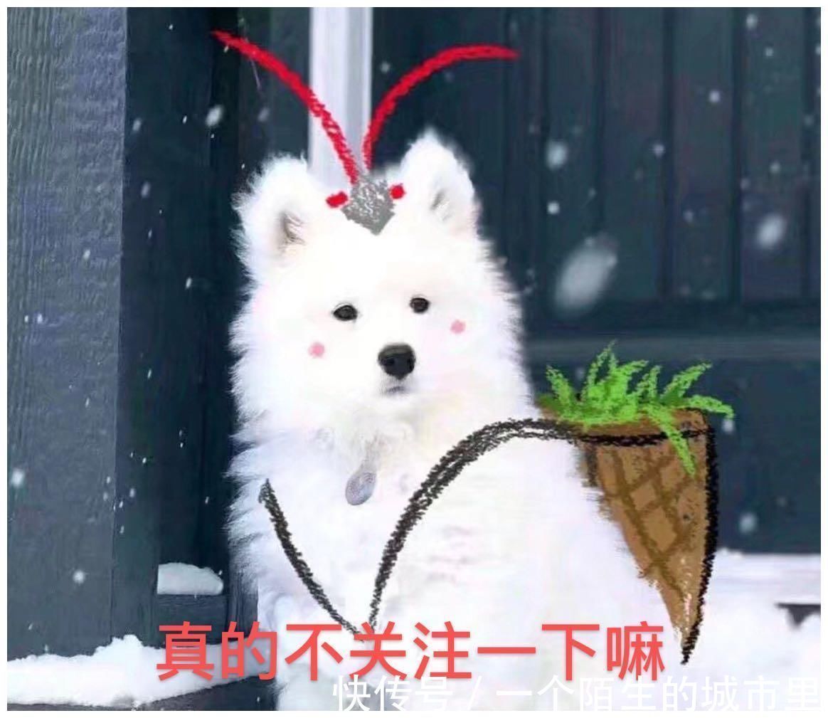 太離譜！《奔跑吧》《向往的生活》淪為陪跑，這款慢綜藝才是黑馬