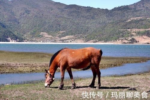 噶玛噶|丽江免费的小众景点，第一次来的游客，大部分都会错过