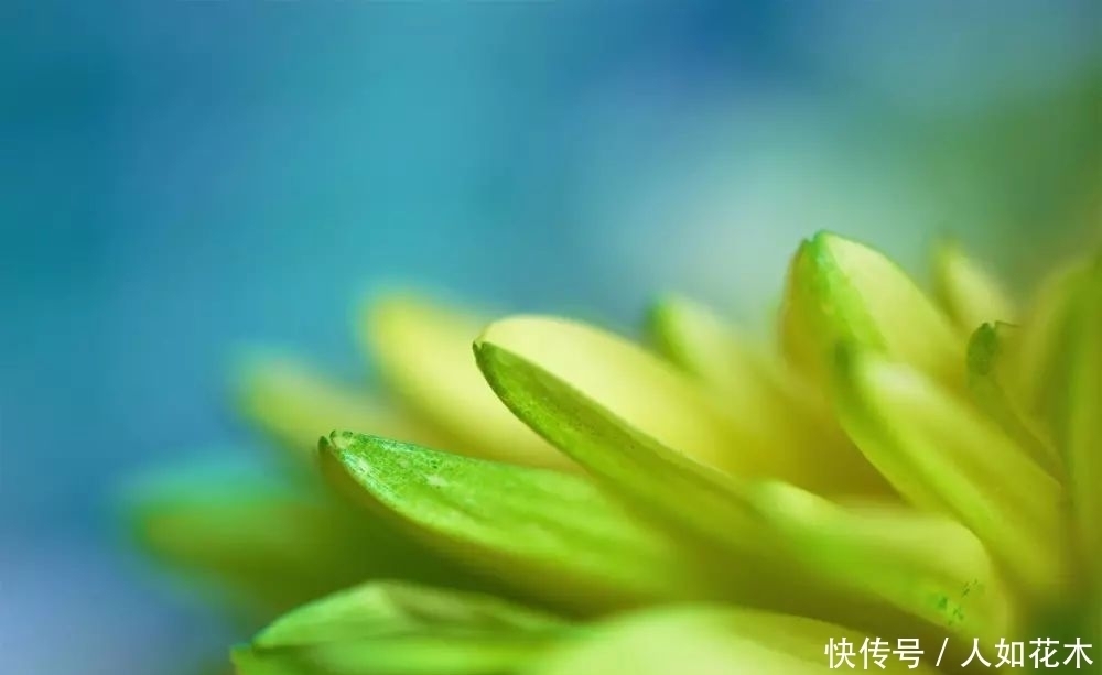 万物|立春丨听一曲古琴演奏《春风》万物知春,和风淡荡