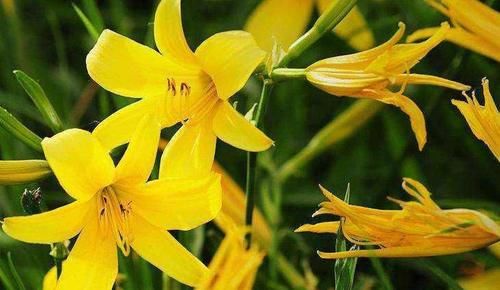 人到中年，多吃3種食物，排毒潤(rùn)膚，延緩衰老，美容養(yǎng)顏