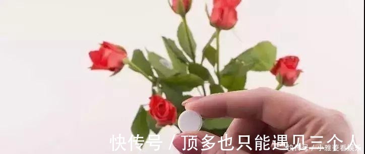 阿司匹林|家里“过期”小药片,养花是个宝,丢在盆里,比生根水还管用!
