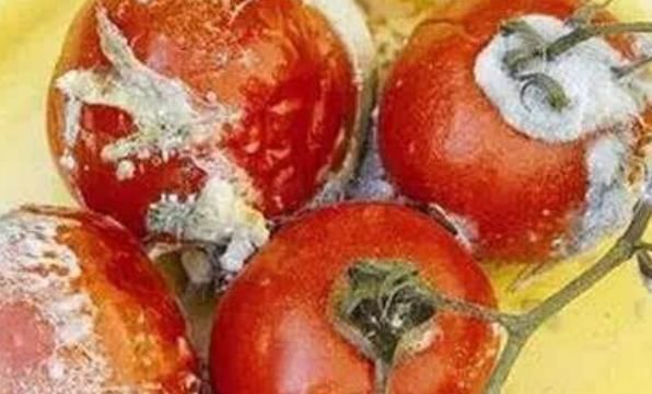 黄曲霉毒素|知道什么是一级致癌物吗？大部分人都爱吃，为了健康请了解！