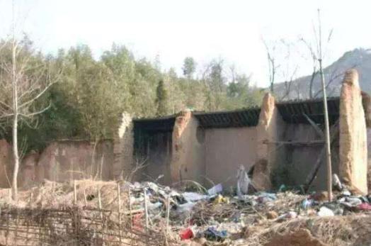 母亲|中国第一懒人:走路怕累吃饭靠喂,23年不干活,父母走后饿死家中