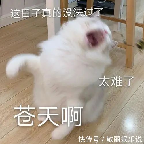 马齿苋|枸杞别再泡水喝，教你3种新吃法，血脂、血糖、血压都不敢升高！