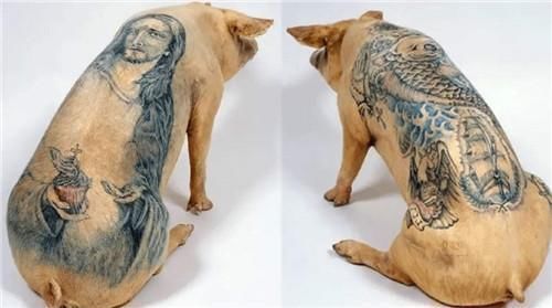 包包|他给猪纹身,因花纹独特,猪皮被香奈儿70万买走,做成限量版包包!