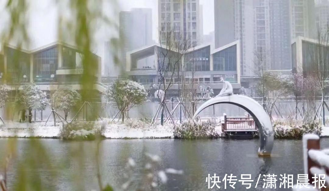 李蕾|组图｜雨花雪景还没赏够？看这里！惊艳nice“绝绝子”