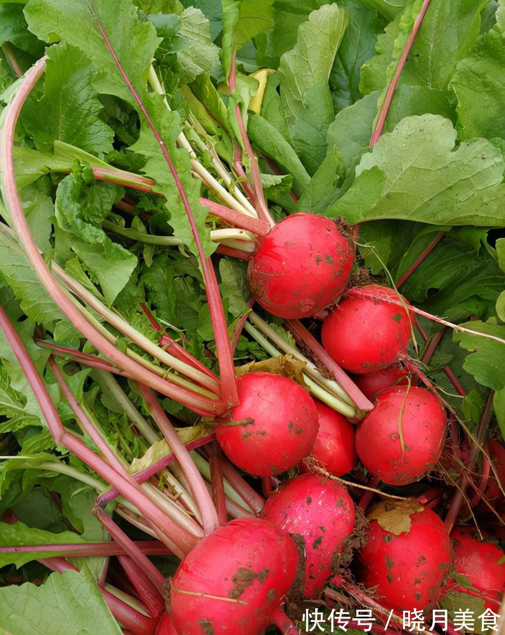 7种“蔬菜”冬天种,0度冻不死,吃一茬冒一茬,连续吃半年