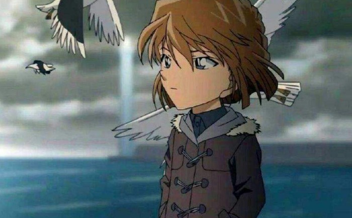 毛利|名侦探柯南:保护灰原的人又多了一位,她会不会成为那个牺牲者?