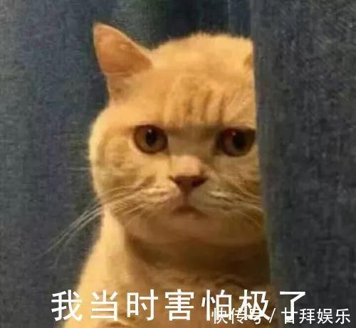 kin|花了20w装修新房，结果被爸妈装成了“古墓风”？？？哈哈哈哈哈