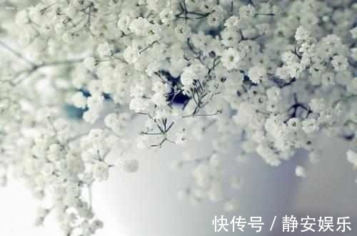 植物|几种花怎么晒都没事儿!超好养,赶紧入手一盆!