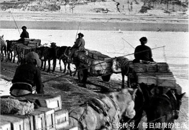 麦克阿瑟|李奇微志愿军吃的东西,你们吃不了