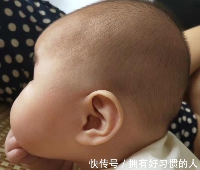 初乳|日本网友发出一张照片,网友感叹:原来世界上真的有“蜡笔小新”