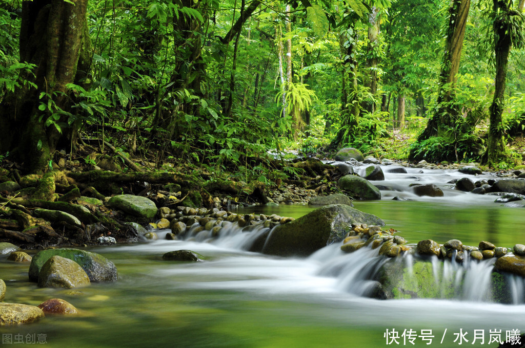  笔下|树深时见鹿，溪午不闻钟，看李白笔下的壮美河山，清浅光阴