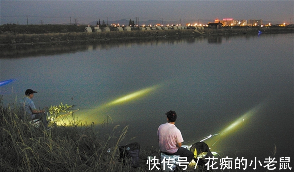 茎秆|野钓鲫鱼未必钓草，除了下雨不钓草，还有这些情况不如钓明水！