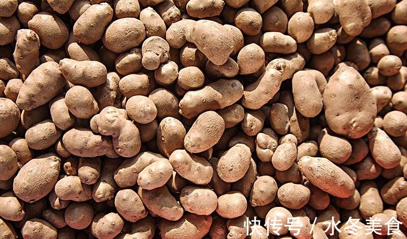 食物|工作累了记忆力不好,不妨多吃3种食物,益气健脾,增强记忆力