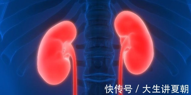 养生|枸杞“这样吃”可能会“招病”!或许该远离枸杞养生误区