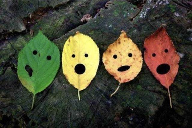 百病|为什么说所有的“养生”都是“徒劳”的看完你就明白了