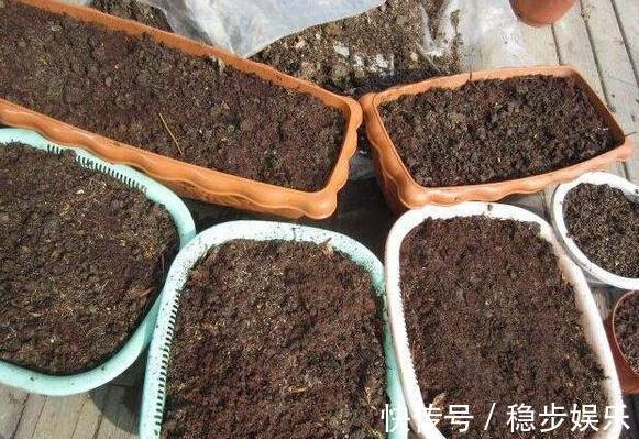 打算给花草换盆，却苦于没钱买营养土不怕，用这些废料就够了