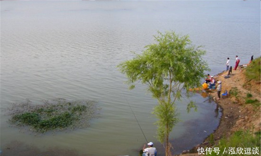 春季钓鲤正当时,如何找到鲤鱼的“藏身之地”?可以“看”出来!
