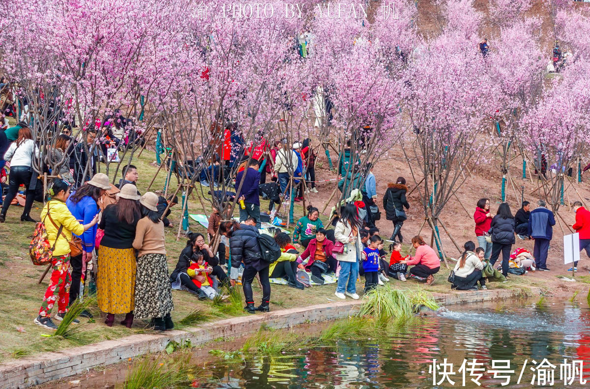 康庄|重庆主城地铁旁的免费花海，游人摩肩接踵，真的太美太火爆了