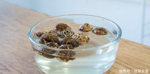 好喝|冬天干燥,多给家人煲汤,5道做法,健脾润燥又好喝,不喝亏大了