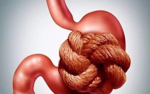 老年人|老年便秘怎么办?什么方法最有效,老年性便秘请做好这几件事!