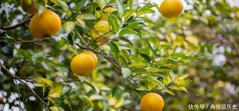 人生|《菜根谭》:凡事退一步,人生更开阔