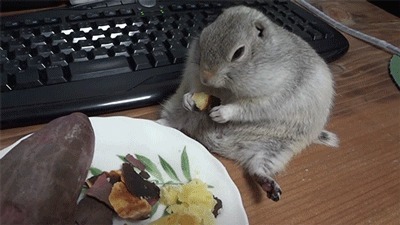 |搞笑GIF:姑娘你这眼神能杀人呀!真是吓死宝宝了