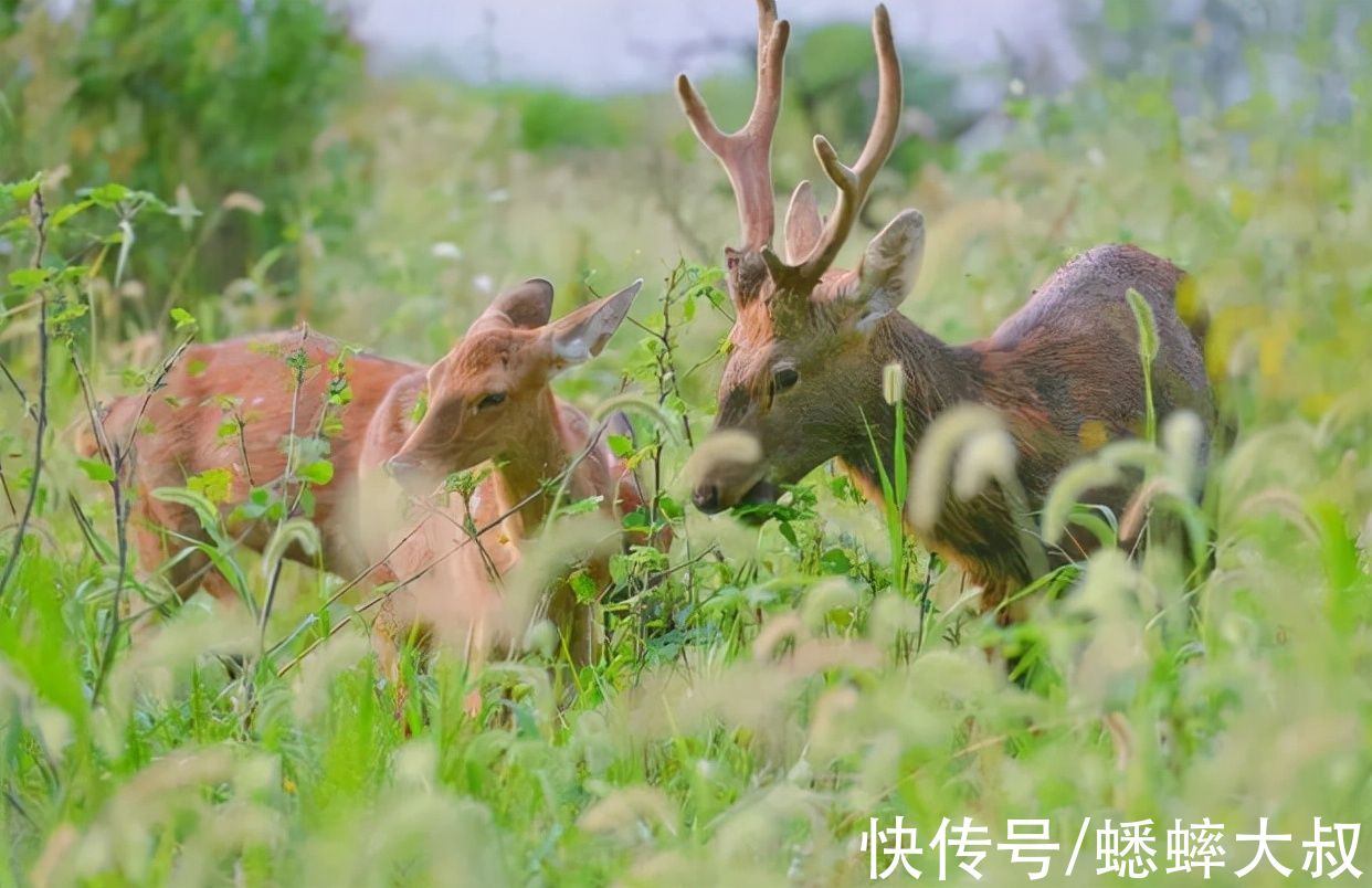 门票|来杭州旅游情侣该去哪些景点？建议看看这五个景点，皆是心头好