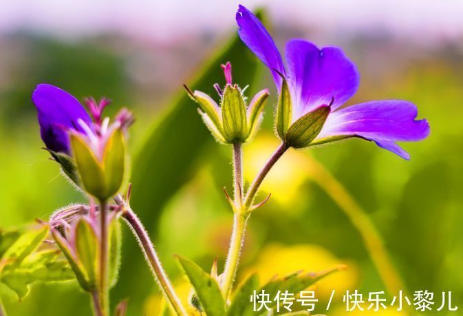 虎年|虎年比牛年更富,赚钱数字有增无减,生活不再有苦难言的生肖