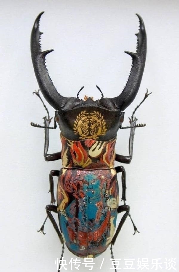 螳螂@美术大神太无聊,昆虫身上画小画,看到莲花螳螂,这脑洞绝了!