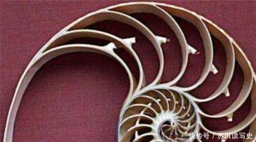 酒杯|古墓发掘诡异“酒杯”,酒怎么喝都喝不空,X光下专家才恍然大悟