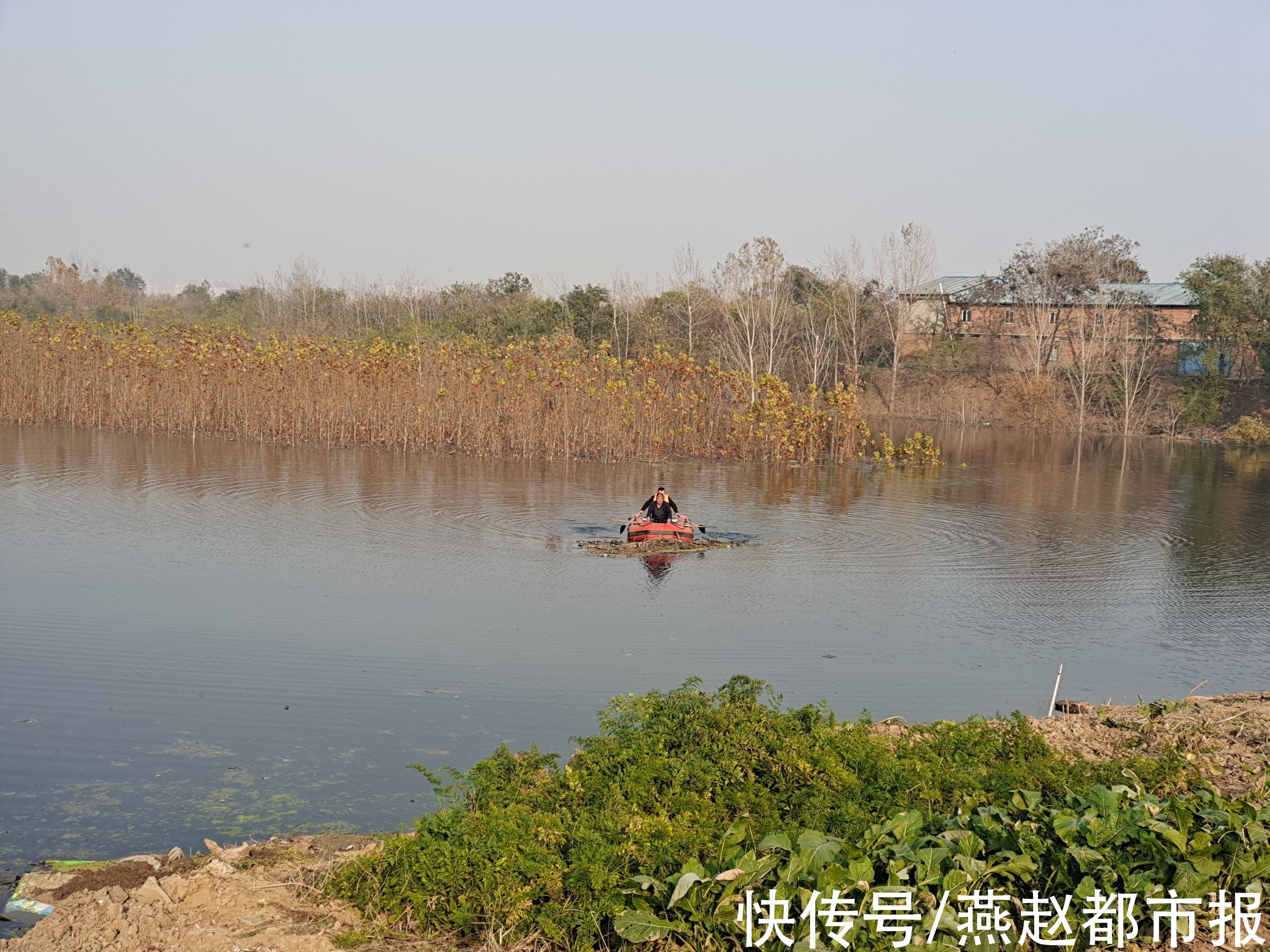 百泉湖|时隔多年，邢台“百泉”复涌再现当年盛景