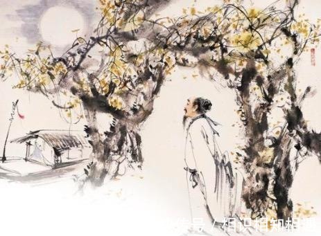 醉赠刘二十八使君|刘禹锡一首千古绝句让白居易甘拜下风