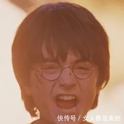 棘唇石豆兰|好丑!好臭!你没看错,我说的是兰花