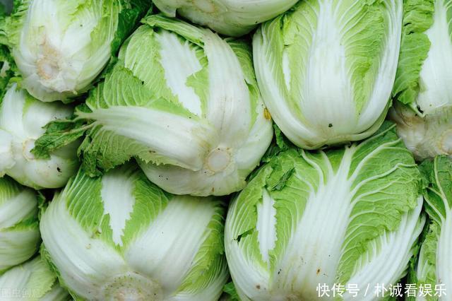 大白菜别直接放地上保存,教你1招保鲜方法,买多了也不怕坏