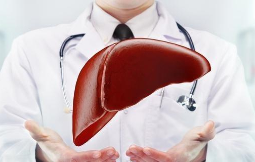 喝酒|肝细胞“修复器”终于找到了,不是萝卜,若爱吃,肝会感谢你