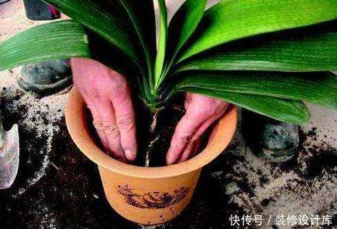 养花万能土|养花土别买了,“3种”废渣一掺和就是“养花万能土”,养啥活啥