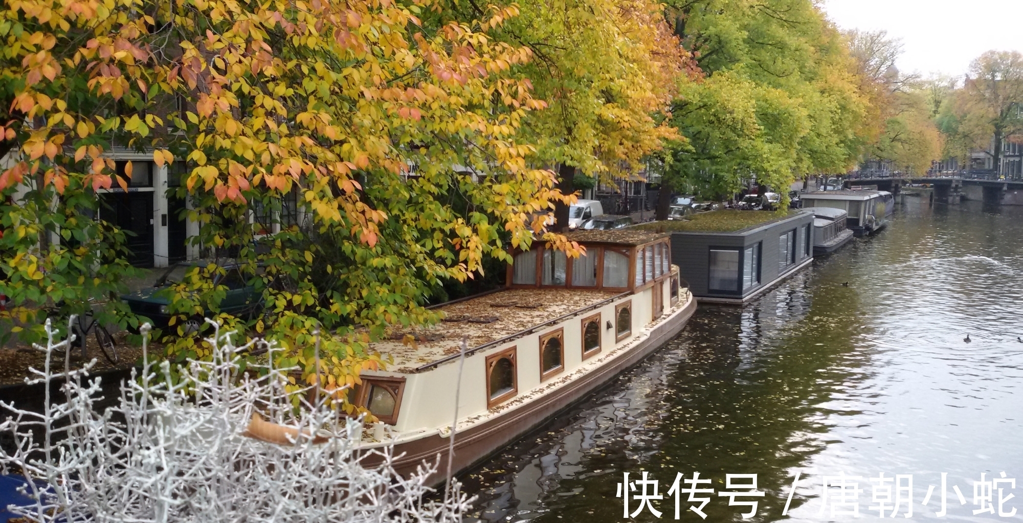 辛丑!七律|人间至美是清秋