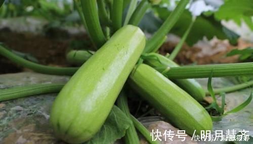 胆固醇|人到中年想长寿,3种食物换着吃,降低胆固醇,平肝降压,更健康